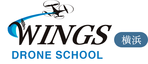wings drone school